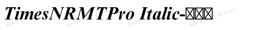 TimesNRMTPro Italic字体转换